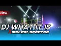 DJ WHAT IT IS x MELODI SPECTRE BASS SEPESIAL VIRAL TIKTOK TERBARU 2023 || COCOK UNTUK KARNAVAL