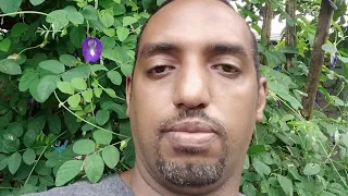 دليلك الى الفلبين محاذير وتنبيهات قبل الزواج من فلبينية أو فلبيني 