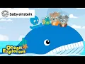 Counting Mama \u0026 Baby Whales ⓵②⓷| Ocean Explorers Compilation | Baby Einstein | Kids Learning Cartoon