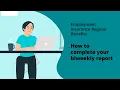 Employment Insurance reporting
