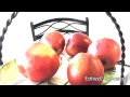Perceptual Constancies - Psychology
