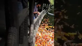 صلوا صلوا صلوا على رسول الله حسين الجسمى  صلوا صلوا صلوا على رسول الله حسين الجسمى