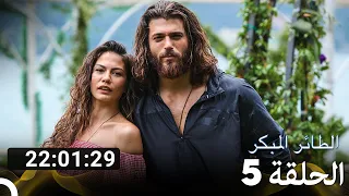 جميع الحلقات من مسلسل الطائر المبكر الموسم 5 Arabic Dubbed 