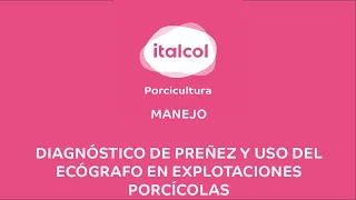 MANEJO -  Diagnóstico de preñez y uso del ecógrafo en explotaciones porcícolas