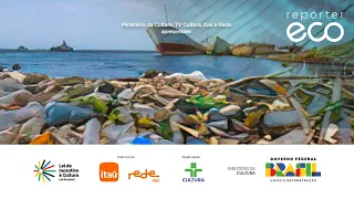 ECO REPORTER | RISKS TO BUTTERFLIES, BIOPLASTIC AND SUSTAINABLE CONSTRUCTION | 03/16/2025