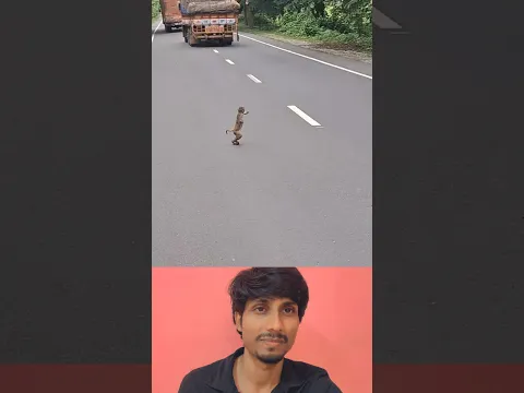 ऐसी जगहों पर गाड़ी धीरे चलाइये 🥹🥹