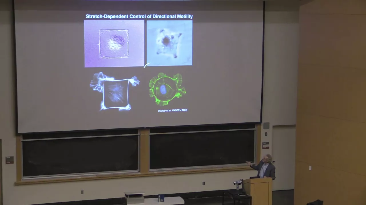 2018 Distinguished Lecture in Bioengineering - Dr. Donald Ingber