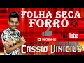 Cássio Vinicius folha seca forró 2020 e tome forró