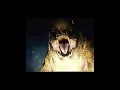 Download Lagu D-Rex Cold Moments 🥶 #edit #short #jurrasicworldrebirth #foryou #dinosaur