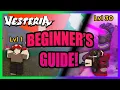 Vesteria - Beginner s Guide