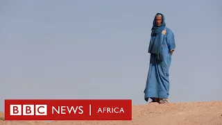 North Africa History Of Africa With Zeinab Badawi Episode 7 