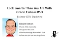 Essbase CDFs Explained