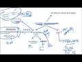 Java exceptions Amharic 2026 - YOU WON T BELIEVE How Easy Java Exception Handling Is