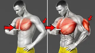 Build a Complete Chest & Triceps — 6 Exercises for More Size, Thickness & Detail