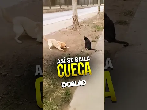 Así se baila CUECA #Doblao #DoblaoClasico #septiembre