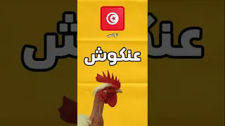 اللهجة التونسية تونس لهجات تحديات 