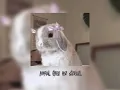 Igual Que Un Ángel-Kali Uchis & Peso Pluma/Speed Up