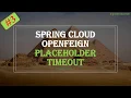How to set timeout with Spring cloud OpenFeign Placeholders with Spring cloud OpenFeign