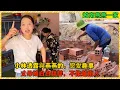Download Lagu 【越南燕燕】小林透露和燕燕談戀愛的趣事，把小林灌醉後又把他扛進飯店！粉絲調侃：丈母娘不像越南人了，被養得白白胖胖的！