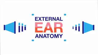 The Tiny Tunnel Leading Into Your Ear