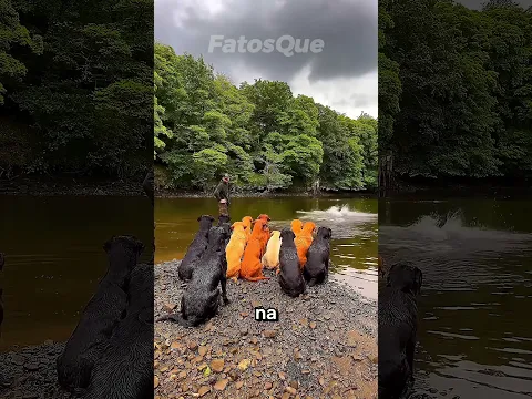 #bts