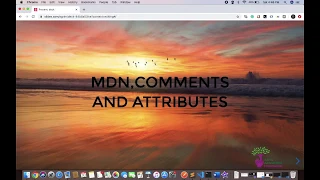 Introduction to MDN Comments and Attributes