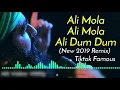Lagu Ali Mola Ali Mola Ali Dam Dam Dj Remix   Dj Hard Bass Special Qawwali   Sultan Ul Qad