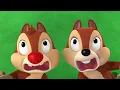 Chip 'N Dale's Nutty Tales 30 Minute Compilation | Mickey Mouse, Minnie Mouse & MORE | @disneyjr