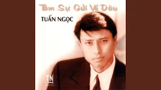 Chiều một mình qua phố