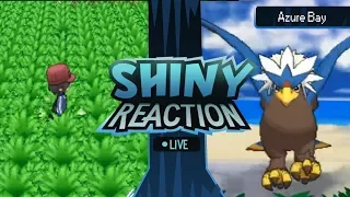 AZURE BAY Shiny Braviary 11 PokeRadar Chain on Randomized Pokemon X - ShinyMapQuest