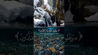 عينا فيها تسمى سلسبيلا تلاوه خاشعه الشيخ ياسر الدوسري 