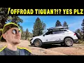 A VW Tiguan is More Capable Than You Think