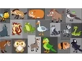 Verso di animale canzone | Imparare i nomi degli animali | Learn Animal Sound | Animal Sound Song