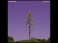 Our Love - Ross Quinn