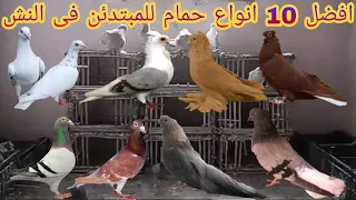 Top 10 Types Of Bathrooms For Beginners 