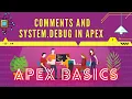 Day 4 Apex Comments Debug Logs Explained Salesforce Development Series