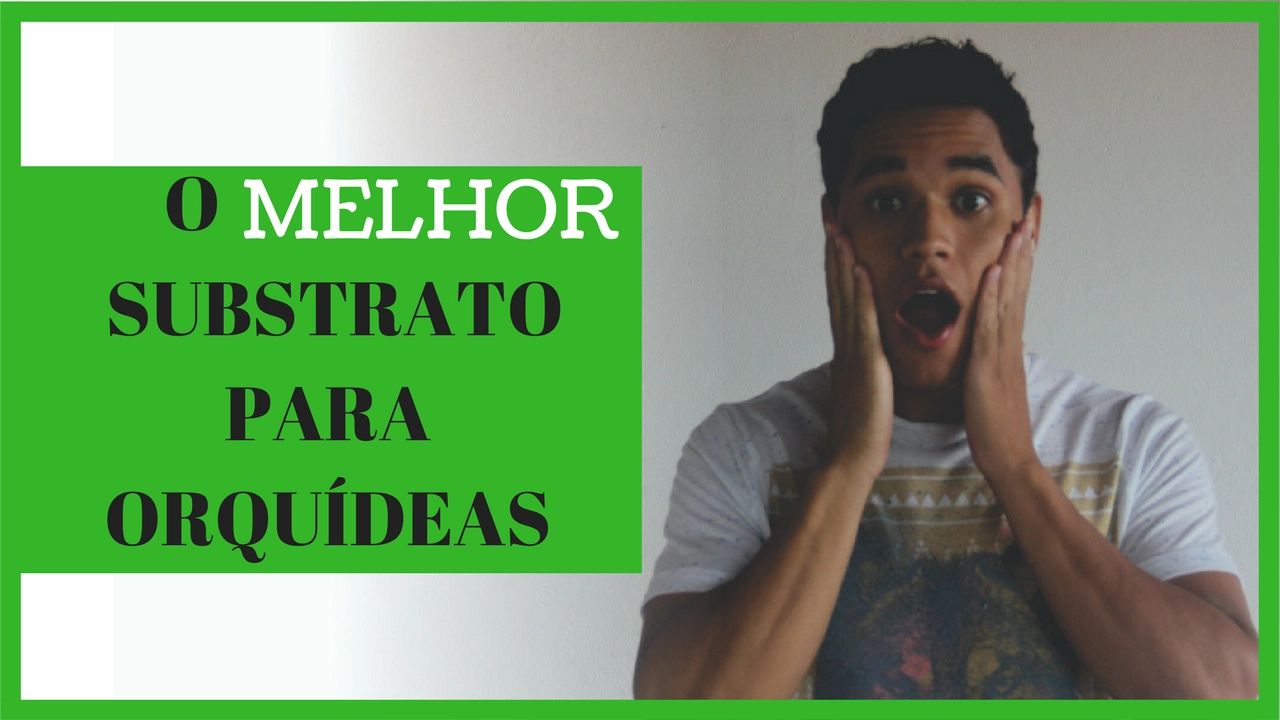 O MELHOR SUBSTRATO PARA ORQUÍDEAS