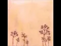 Pausal -- One Watery Lens