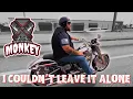 Download Lagu Harley Davidson Gray Ghost Fat Boy - Proper Pipes op de eerste dag!