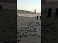 Salamum yaa rasoolallah