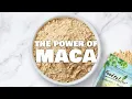 The Power of MACA Ways to Use Maca Powder