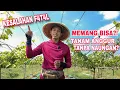 Download Lagu EPS 83 - KESALAHAN F4T4L ‼️ SAAT TANAM ANGGUR TANPA NAUNGAN