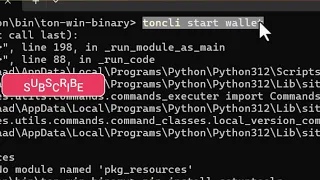 python - No module named pkg