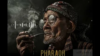 مهرجان اكشن وهنعمل خطر صدي صوت   دندنها