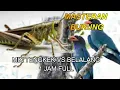 Download Lagu TENGKEK BUTO VS BELALANG