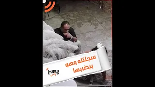                                                                                                      دندنها