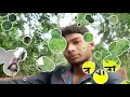 Download Lagu Aar Asa ki hobe Mago