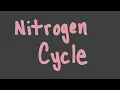 Nitrogen Cycle Notes