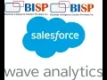 Salesforce Wave Rest API Integration Python Salesforce Wave Integration Salesforce Wave Rest API