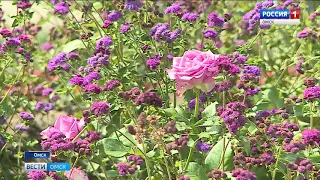 В Омске стартовал городской этап конкурса «Омские улицы»